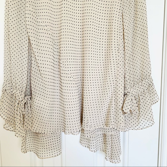 HOSS INTROPIA (ANTHROPOLOGIE) Cream w/ black polka dots Chiffon 2-Layer Blouse - Picture 5 of 12